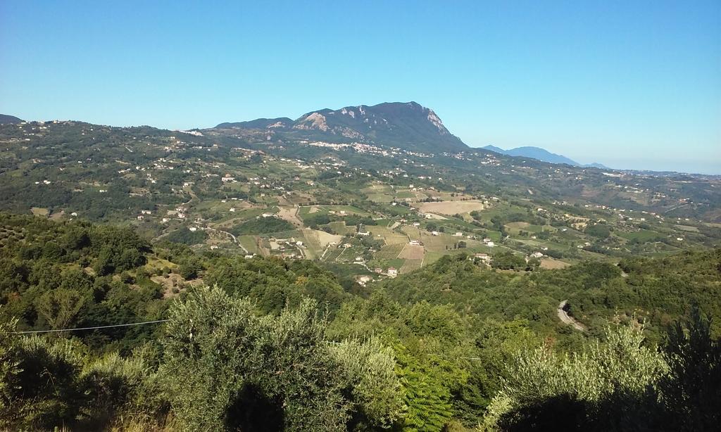 Agriturismo San Michele Paternopoli Exterior foto